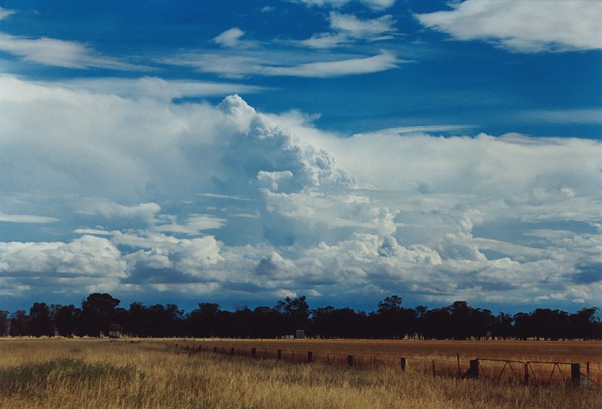 thunderstorm cumulonimbus_incus : N of Narrandera, NSW   1 December 2003