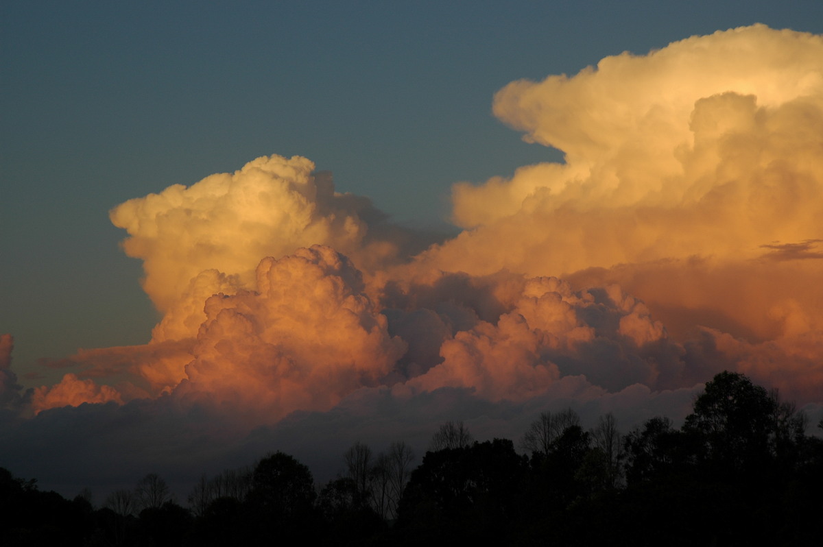 thunderstorm cumulonimbus_calvus : McLeans Ridges, NSW   29 July 2004