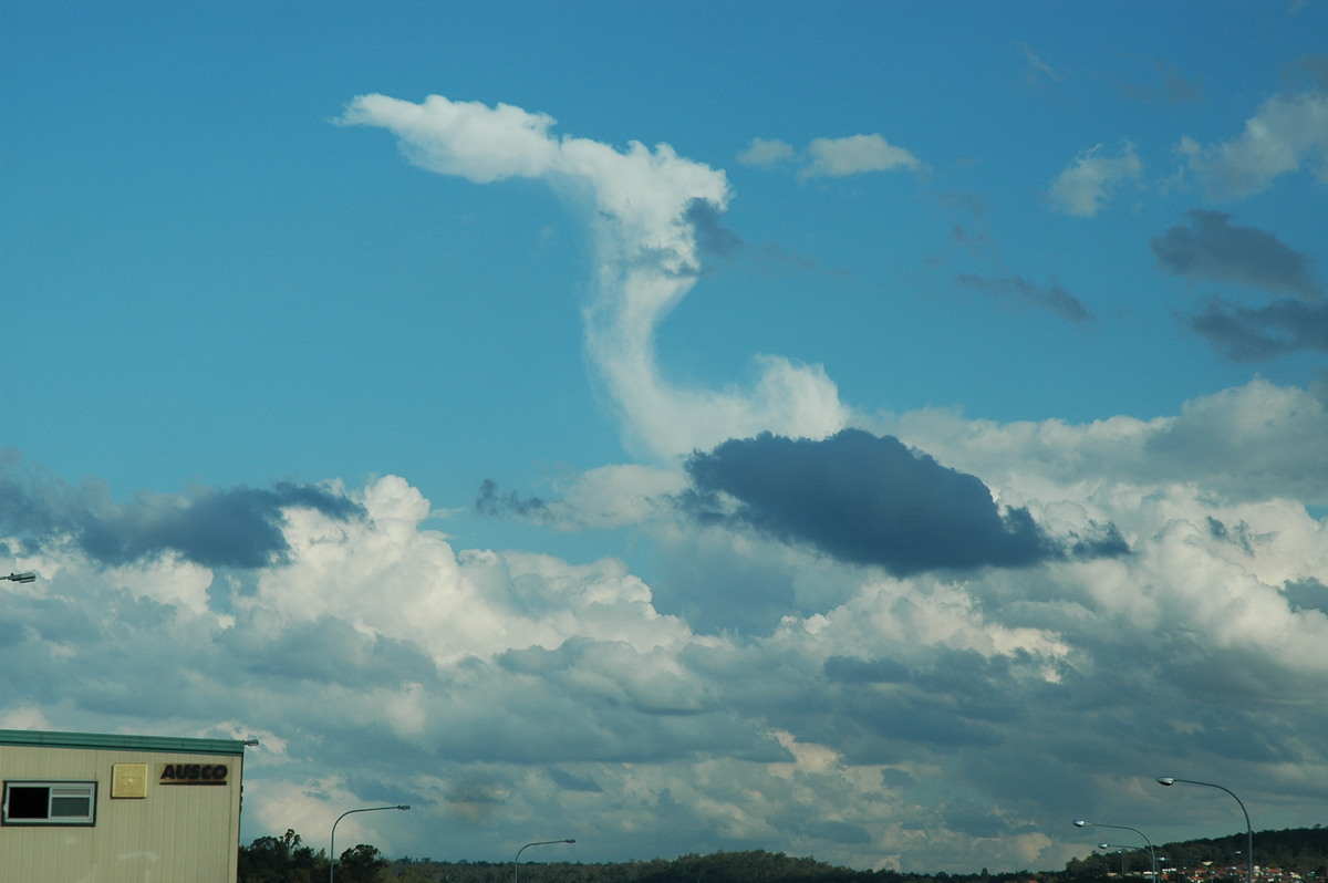 cumulus mediocris : Brisbane, QLD   30 July 2004