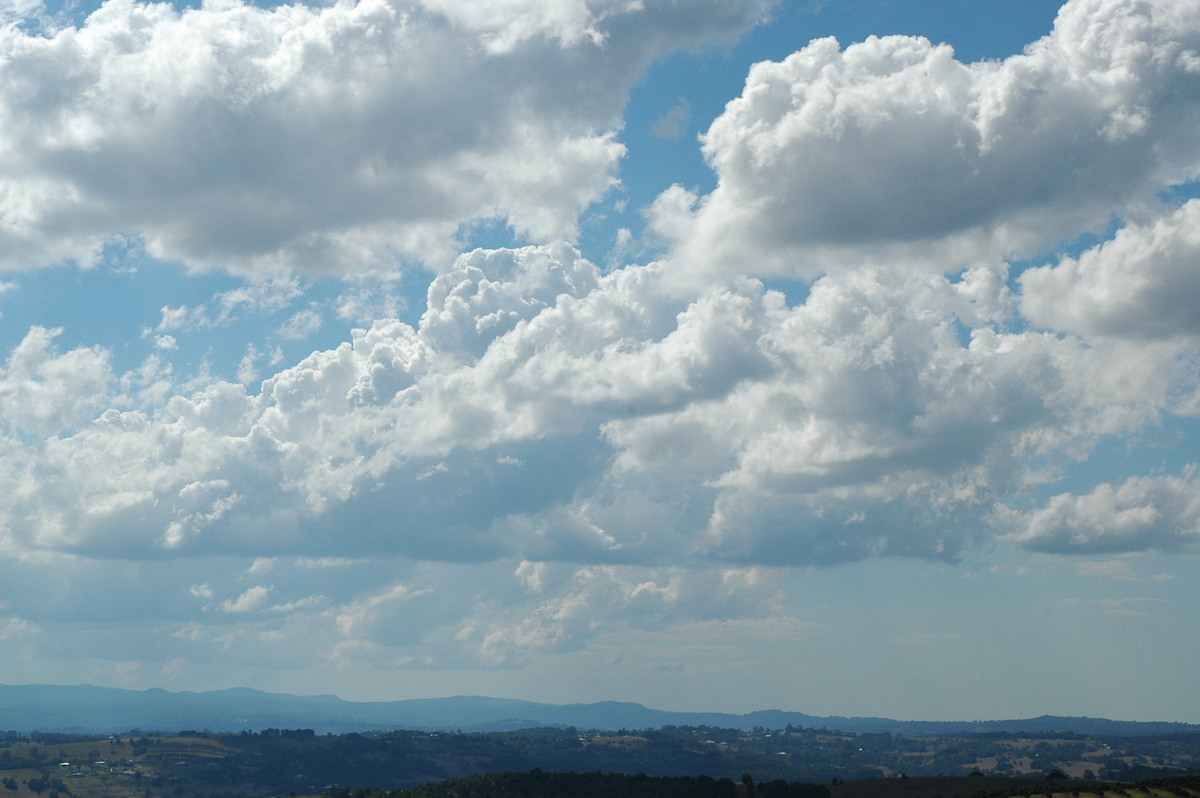 cumulus mediocris : McLeans Ridges, NSW   24 August 2004