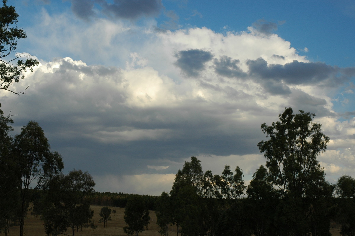 cumulus mediocris : Grandchester, QLD   28 August 2004