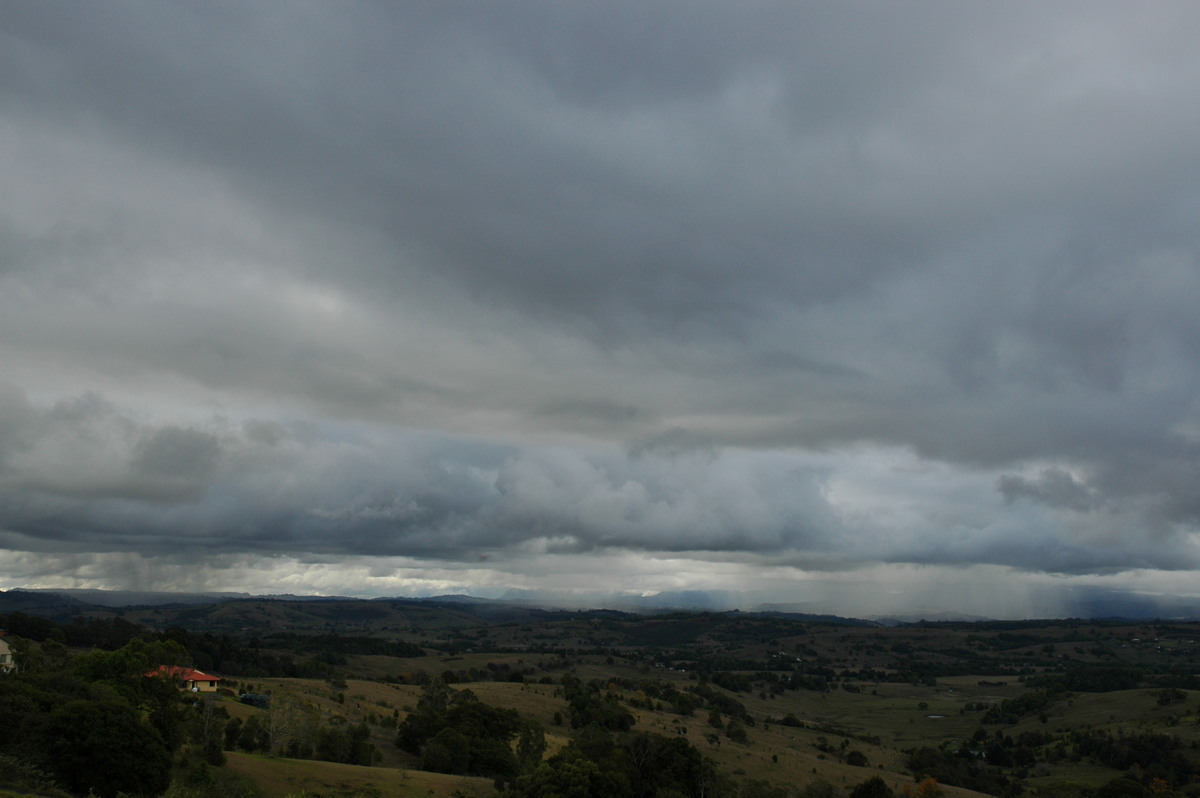 cumulus mediocris : McLeans Ridges, NSW   19 October 2004