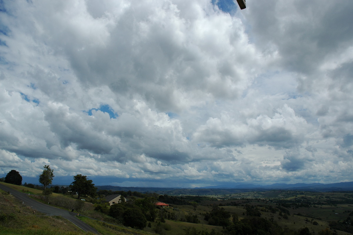 cumulus mediocris : McLeans Ridges, NSW   21 October 2004
