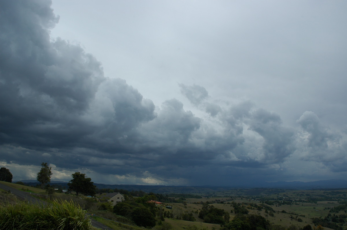 cumulus mediocris : McLeans Ridges, NSW   21 October 2004