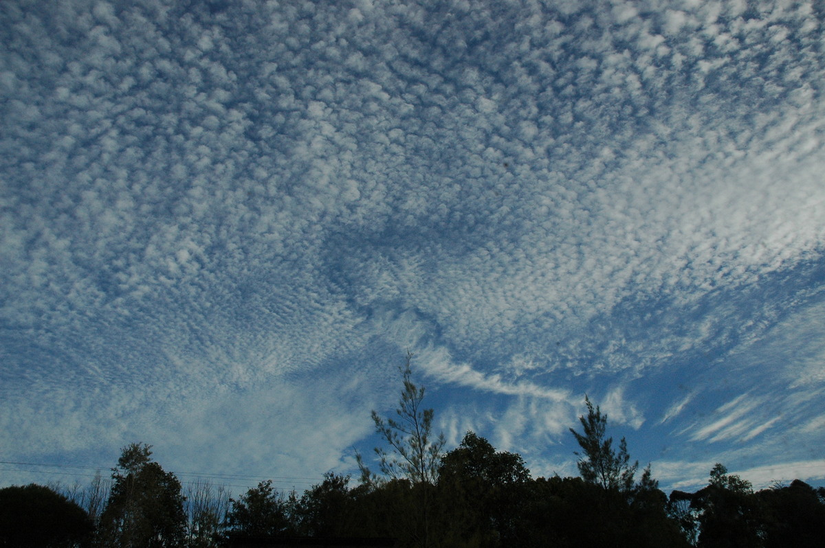 cirrus cirrus_cloud : McLeans Ridges, NSW   22 October 2004