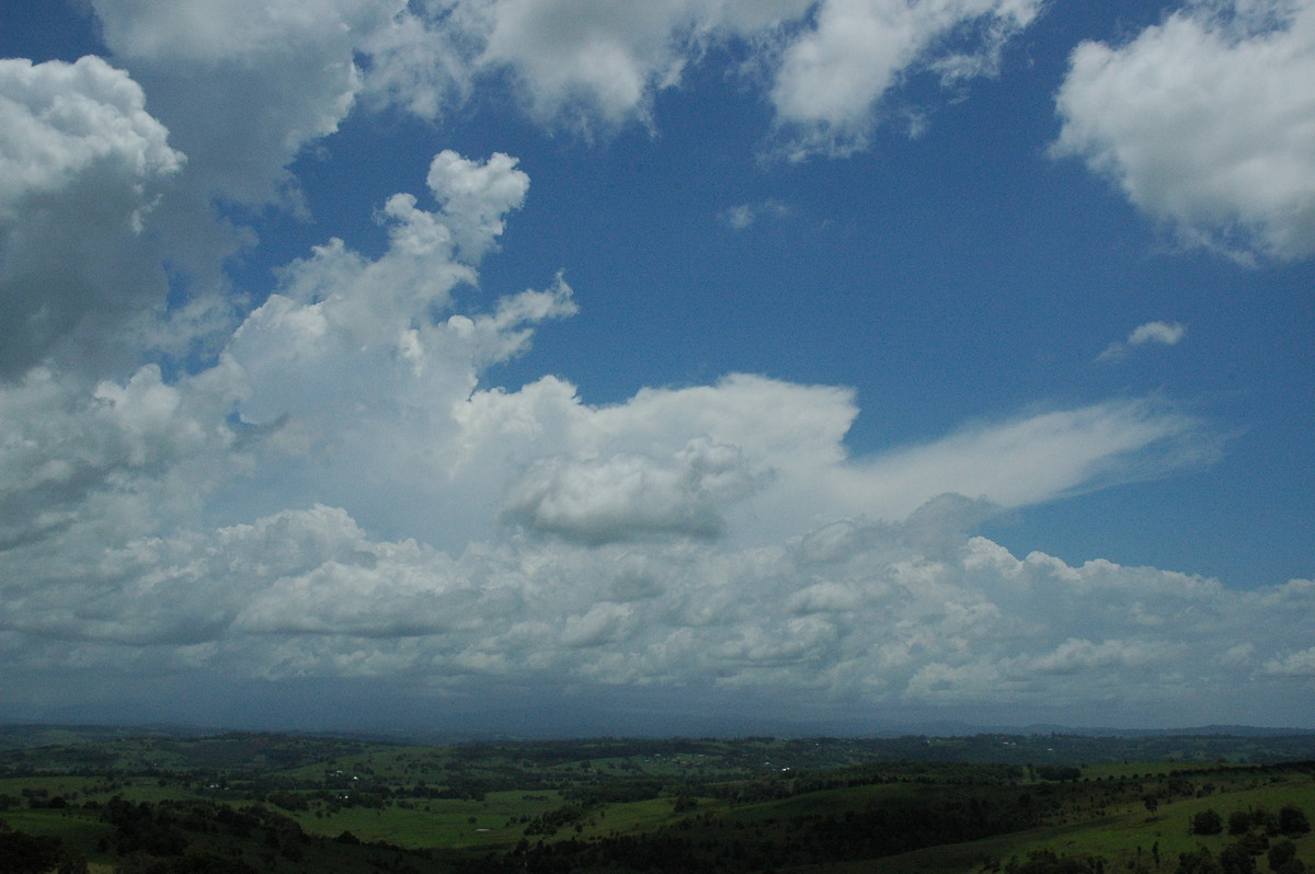 cumulus mediocris : McLeans Ridges, NSW   17 November 2004