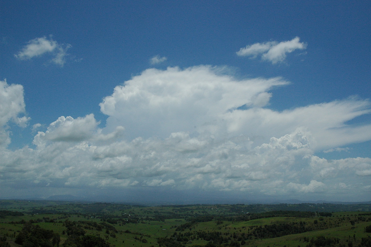 cumulus mediocris : McLeans Ridges, NSW   17 November 2004