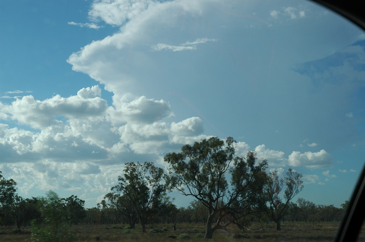 thunderstorm cumulonimbus_incus : Walgett, NSW   8 December 2004