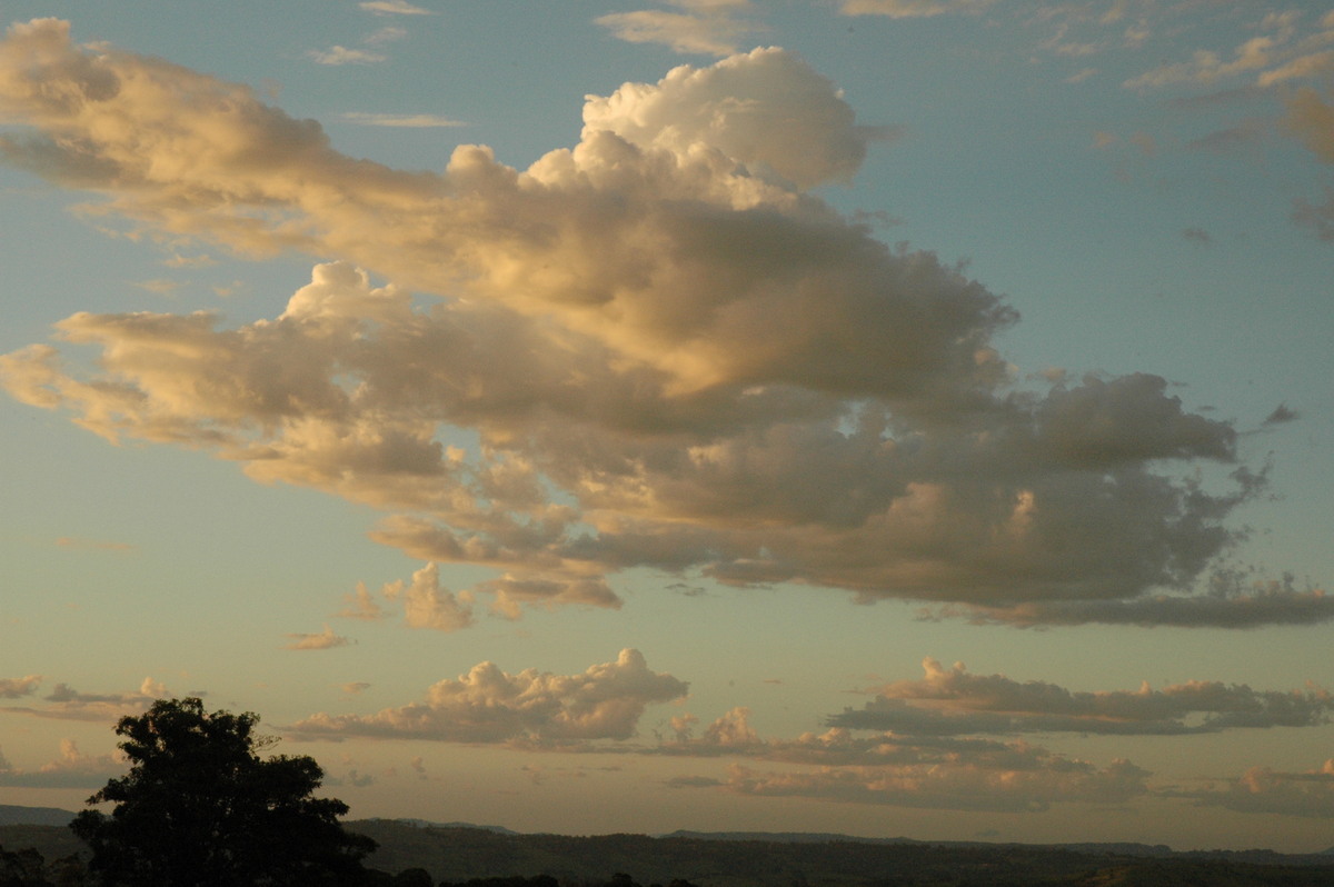 cumulus mediocris : McLeans Ridges, NSW   12 December 2004