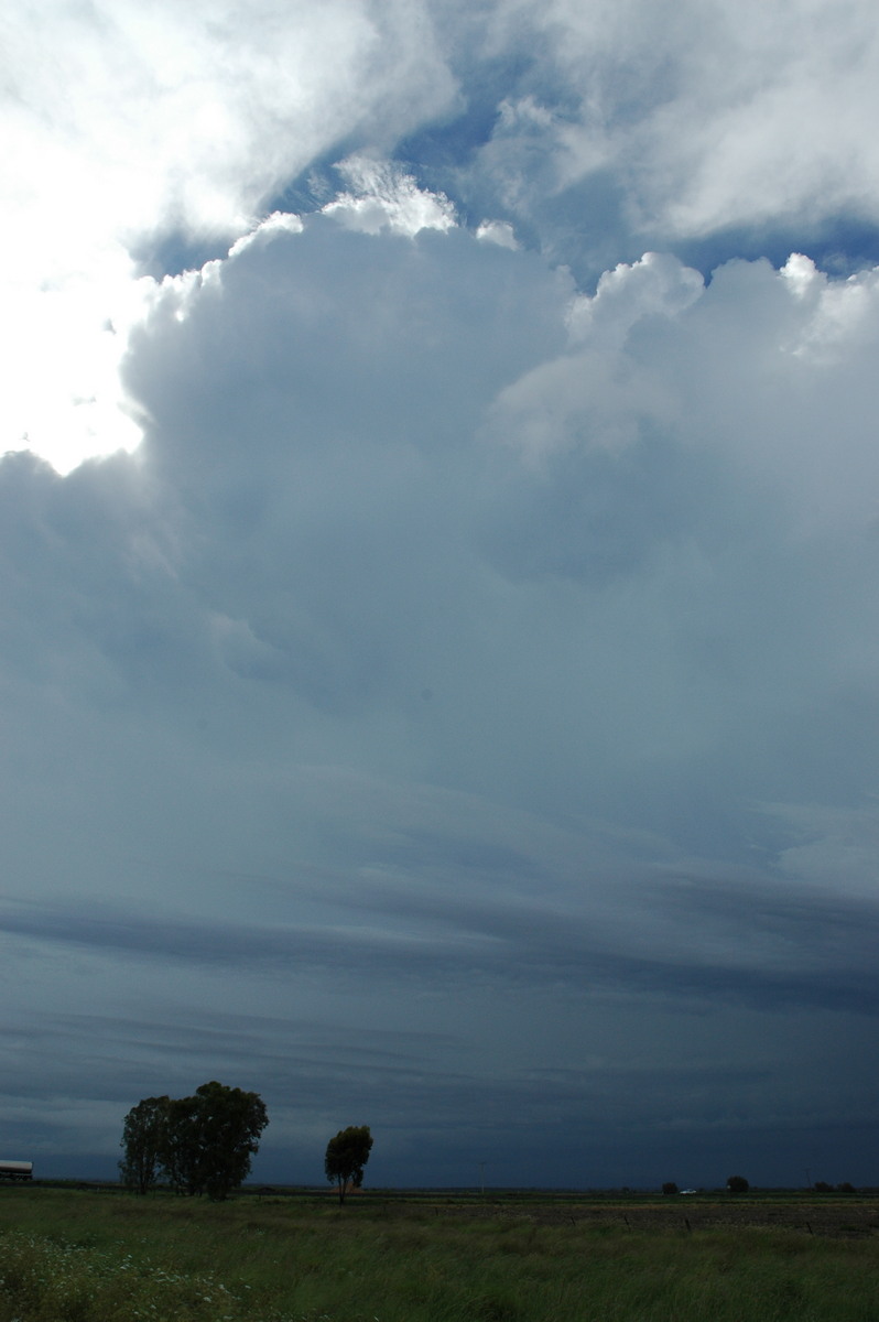 thunderstorm cumulonimbus_incus : N of Narrabri, NSW   27 December 2004
