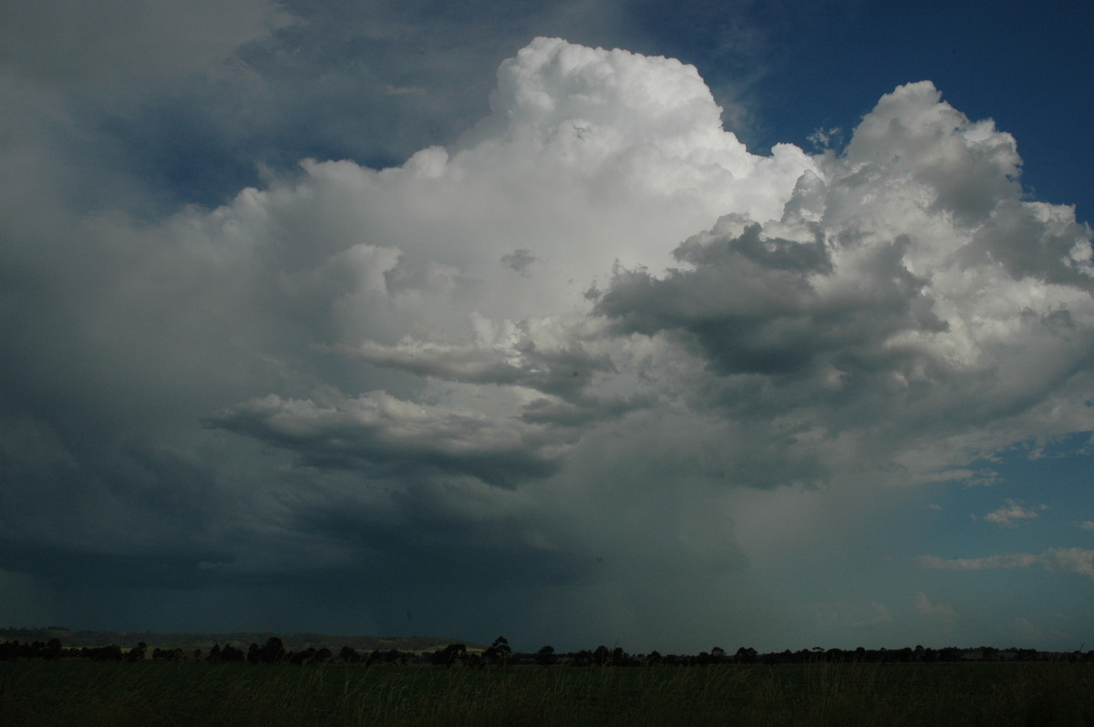 thunderstorm cumulonimbus_incus : N of Casino, NSW   21 January 2005