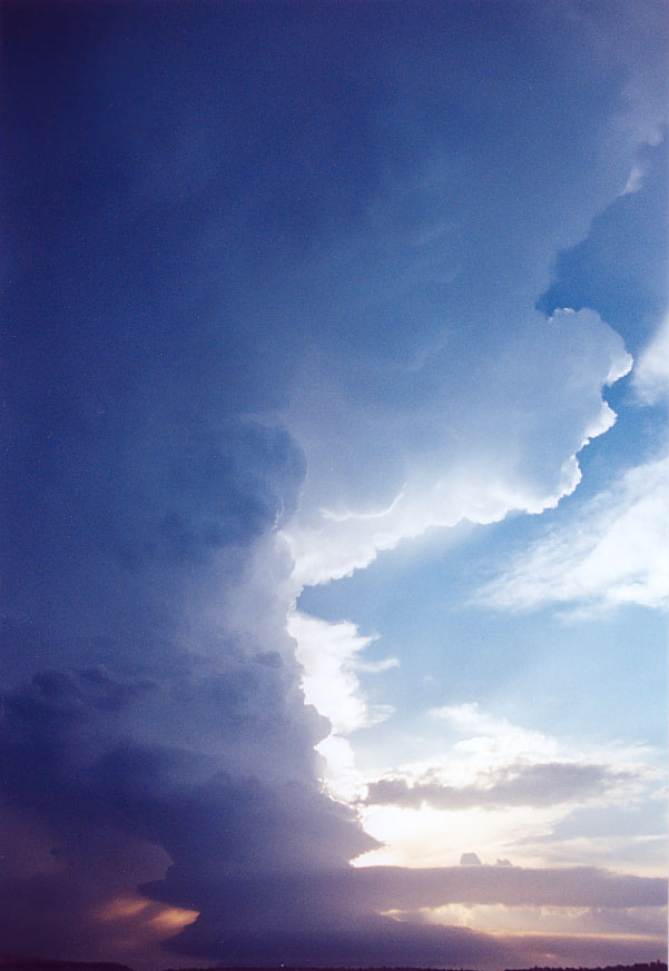 cumulonimbus supercell_thunderstorm : Penrith, NSW   1 February 2005