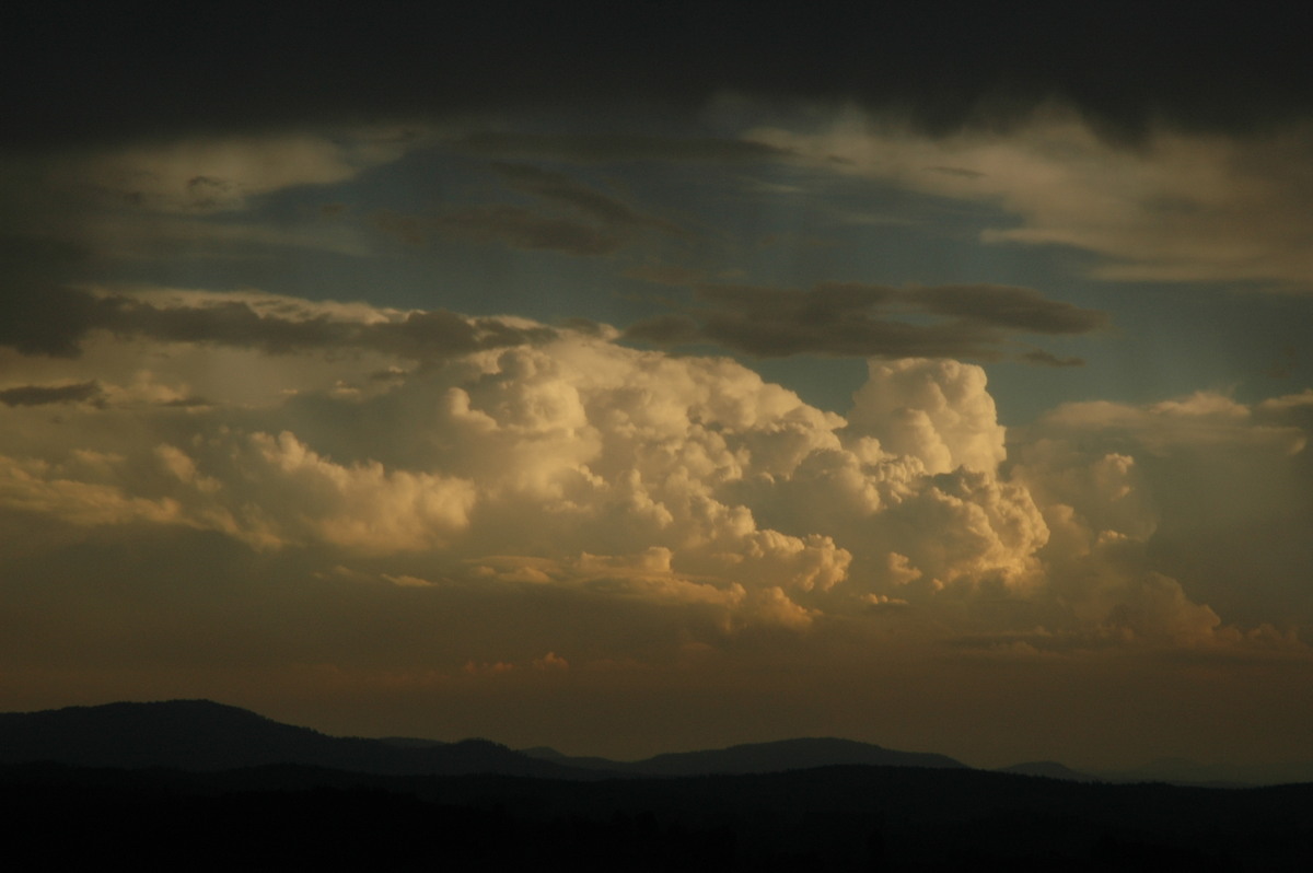 thunderstorm cumulonimbus_calvus : Mallanganee NSW   24 October 2005