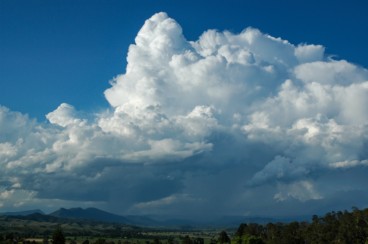 thunderstorm cumulonimbus_calvus : Kyogle, NSW   25 October 2005
