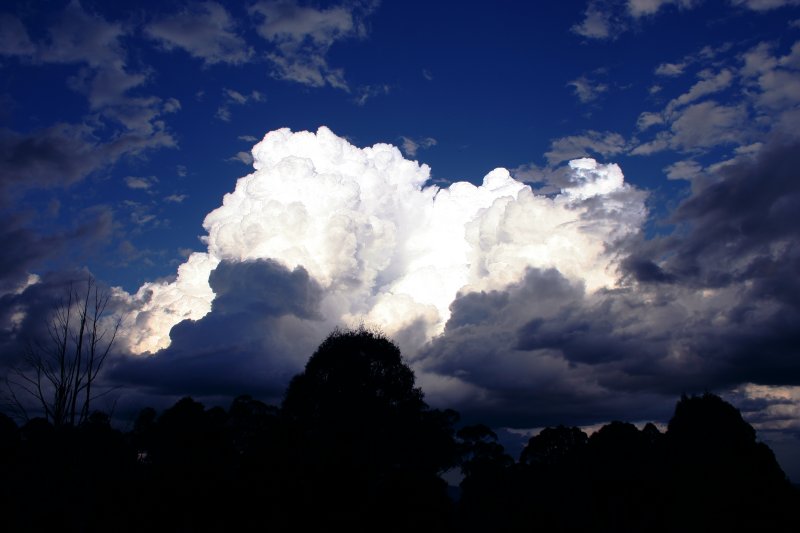 thunderstorm cumulonimbus_calvus : near Topdale, NSW   27 October 2005