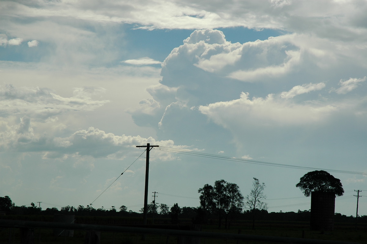 thunderstorm cumulonimbus_calvus : near Coraki, NSW   27 October 2005