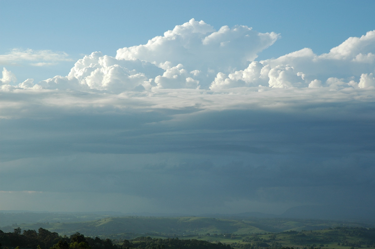 thunderstorm cumulonimbus_calvus : McLeans Ridges, NSW   28 October 2005