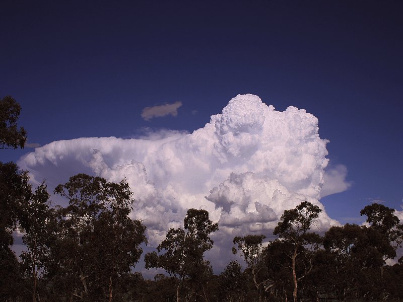 updraft thunderstorm_updrafts : Walcha, NSW   20 November 2005