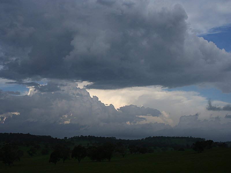 stratus stratus_cloud : S of Walcha, NSW   20 November 2005