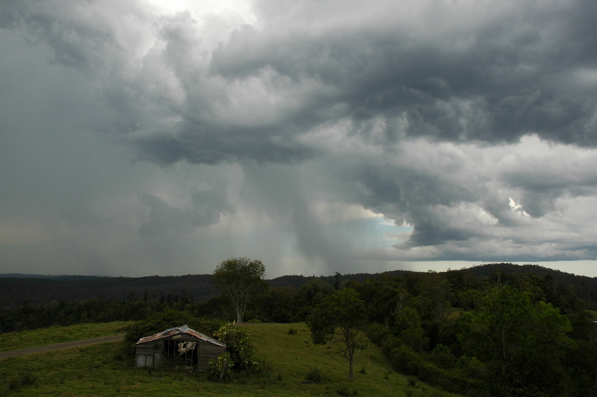 raincascade precipitation_cascade : Mallanganee, NSW   20 November 2005