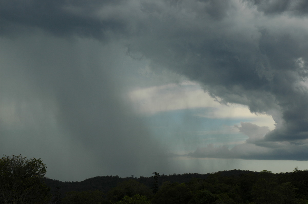 raincascade precipitation_cascade : Mallanganee NSW   20 November 2005