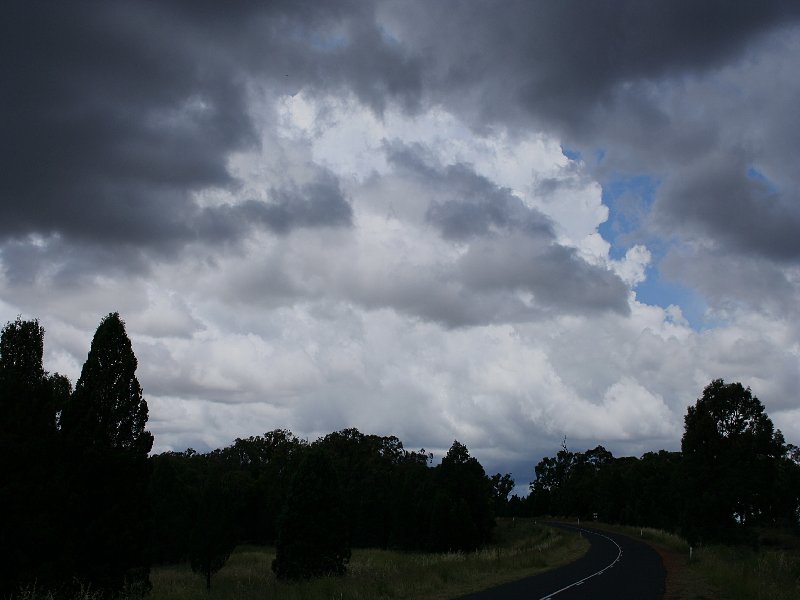 thunderstorm cumulonimbus_calvus : W of Mendoran, NSW   25 November 2005