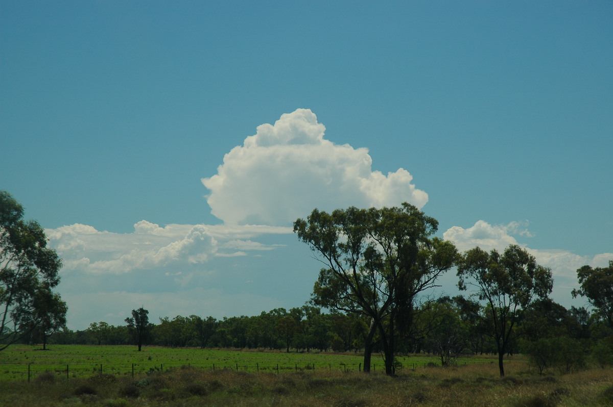 thunderstorm cumulonimbus_calvus : Collarenabri, NSW   26 November 2005