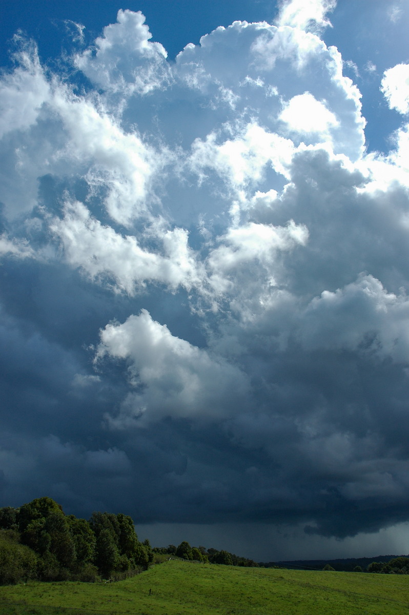 thunderstorm cumulonimbus_calvus : Saint Helena, NSW   29 November 2005