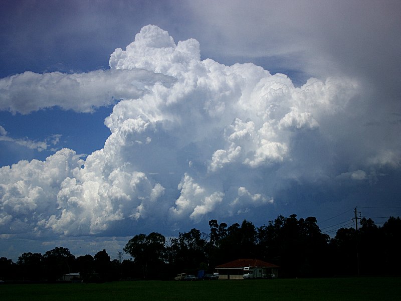 thunderstorm cumulonimbus_calvus : St Marys, NSW   1 December 2005