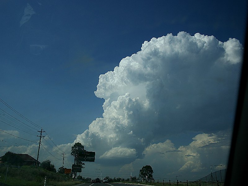 updraft thunderstorm_updrafts : Horsley Park, NSW   1 December 2005