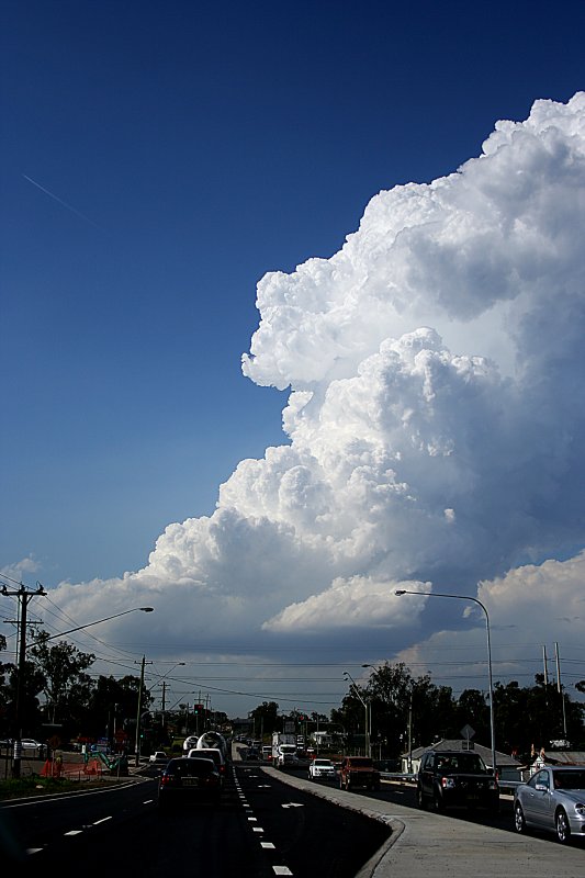 thunderstorm cumulonimbus_calvus : Horsley Park, NSW   1 December 2005