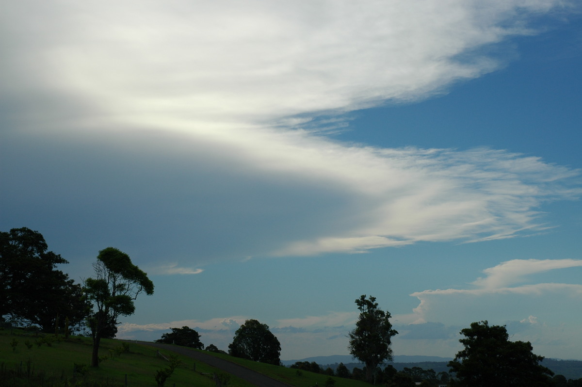 anvil thunderstorm_anvils : McLeans Ridges, NSW   24 January 2006