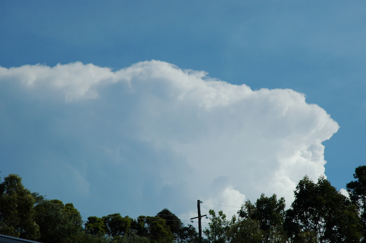 anvil thunderstorm_anvils : McLeans Ridges, NSW   17 February 2006