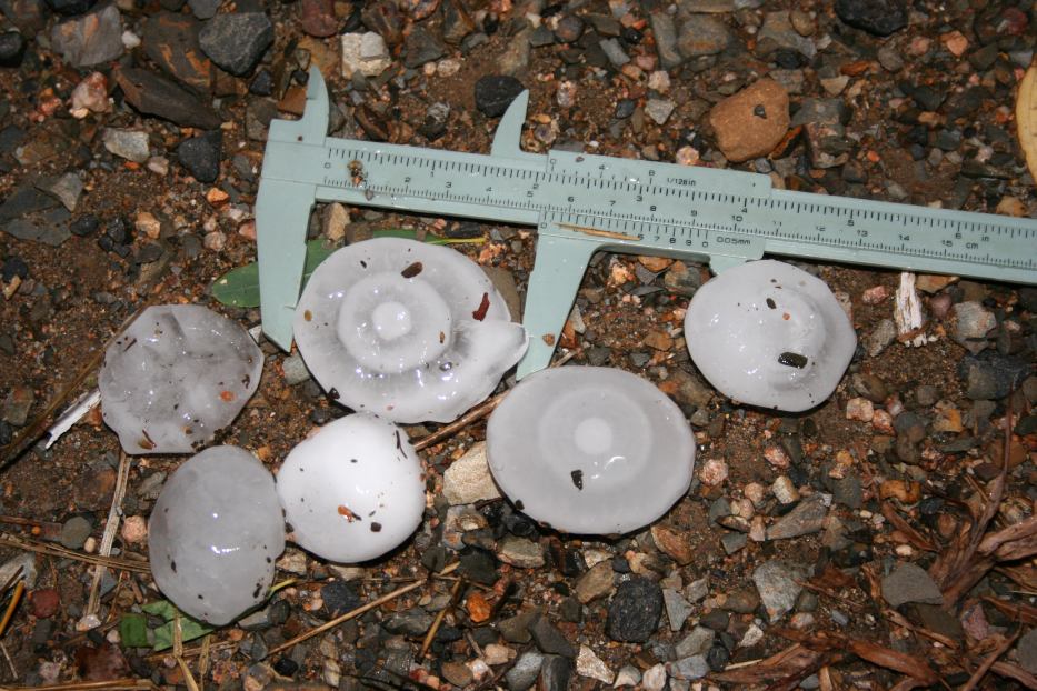 hailstones hail_stones : Ulan, NSW   20 February 2006