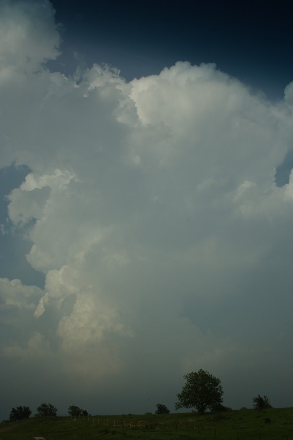 thunderstorm cumulonimbus_incus : McAlester, Oklahoma, USA   9 May 2006