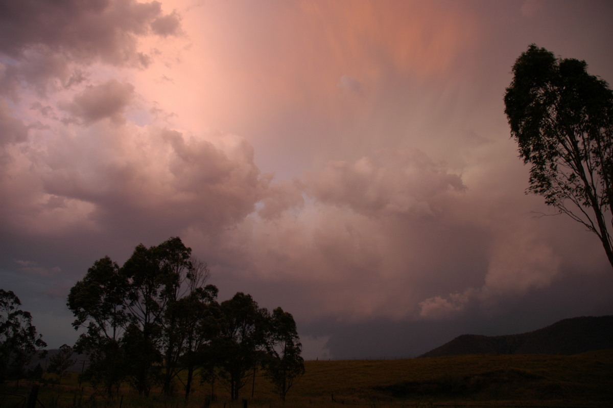 updraft thunderstorm_updrafts : Wiangaree, NSW   29 November 2006