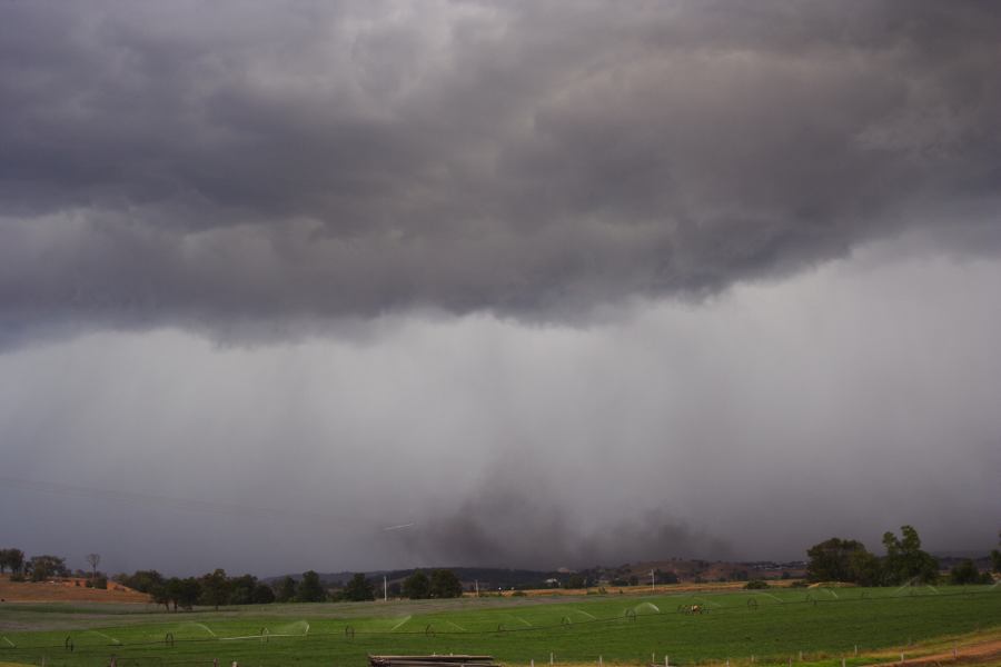 raincascade precipitation_cascade : Singleton, NSW   24 December 2006
