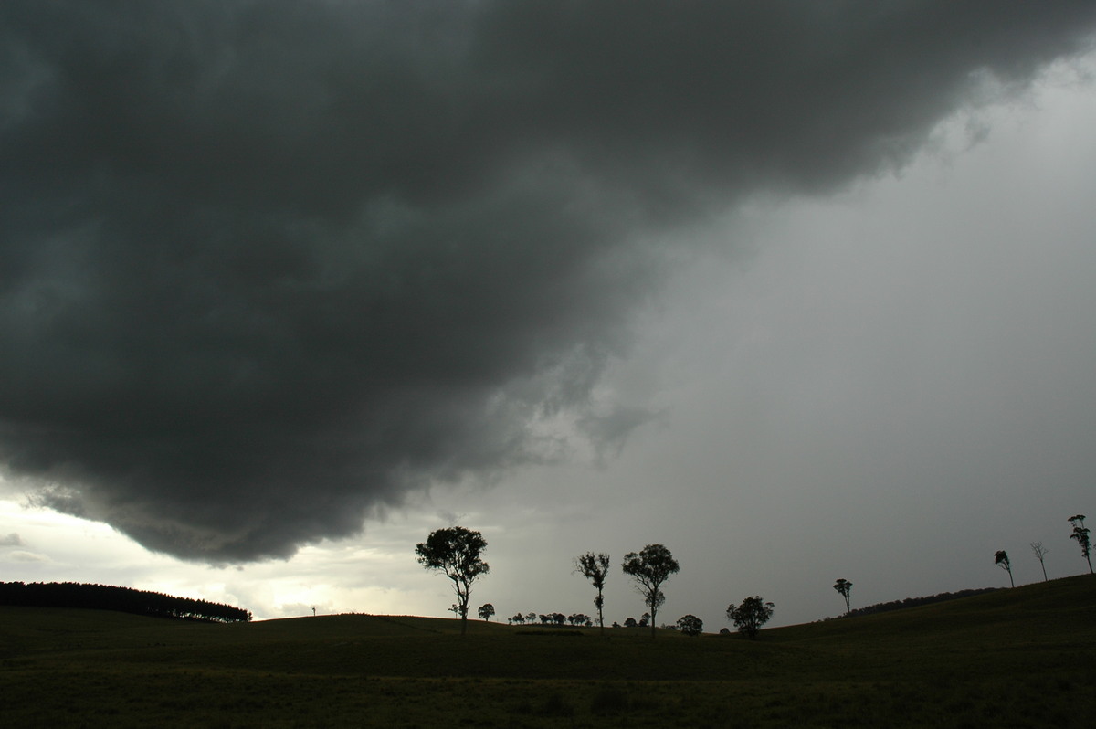 raincascade precipitation_cascade : near Ebor, NSW   31 December 2006