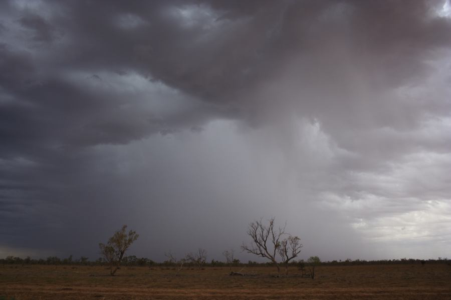 cumulonimbus thunderstorm_base : ~40km N of Barringun, NSW   2 January 2007