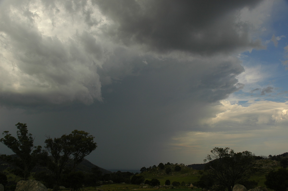raincascade precipitation_cascade : Tenterfield, NSW   12 January 2007