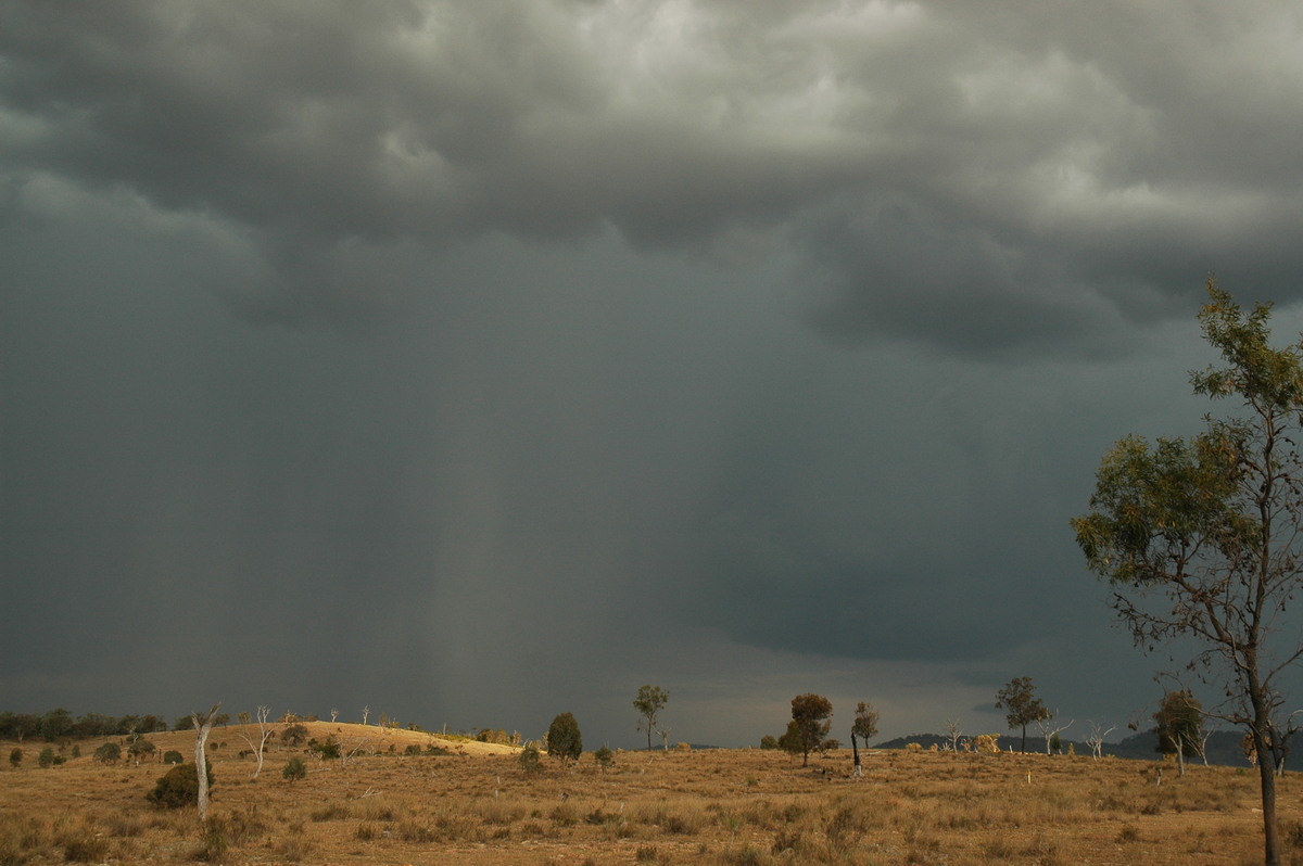 raincascade precipitation_cascade : W of Tenterfield, NSW   12 January 2007