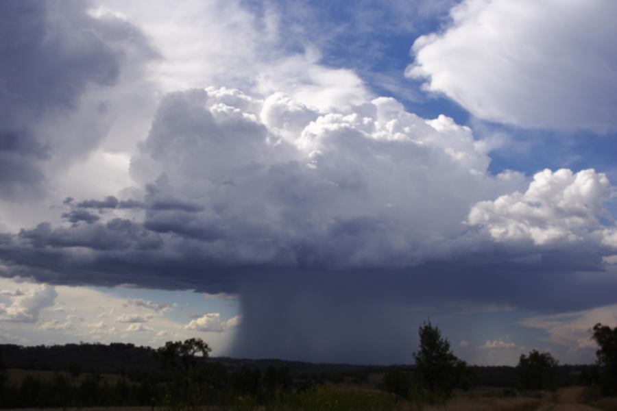 updraft thunderstorm_updrafts : near Bonshaw, NSW   13 January 2007
