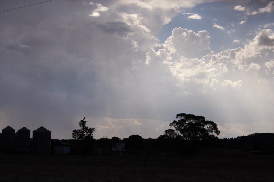 thunderstorm cumulonimbus_calvus : W of Elong Elong, NSW   11 February 2007