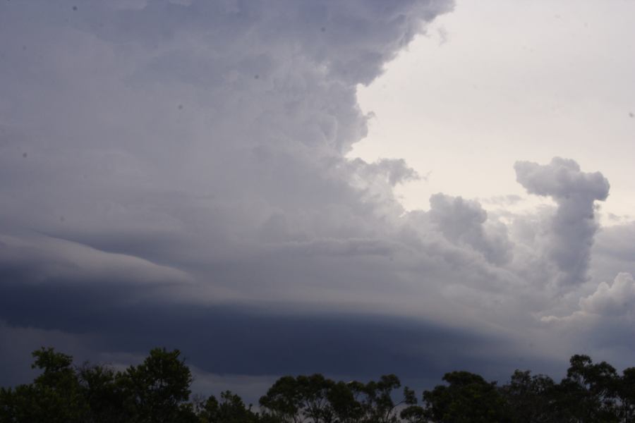 cumulonimbus thunderstorm_base : near Heathcote, NSW   1 March 2007