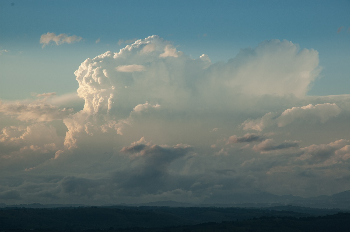 thunderstorm cumulonimbus_calvus : McLeans Ridges, NSW   8 October 2007