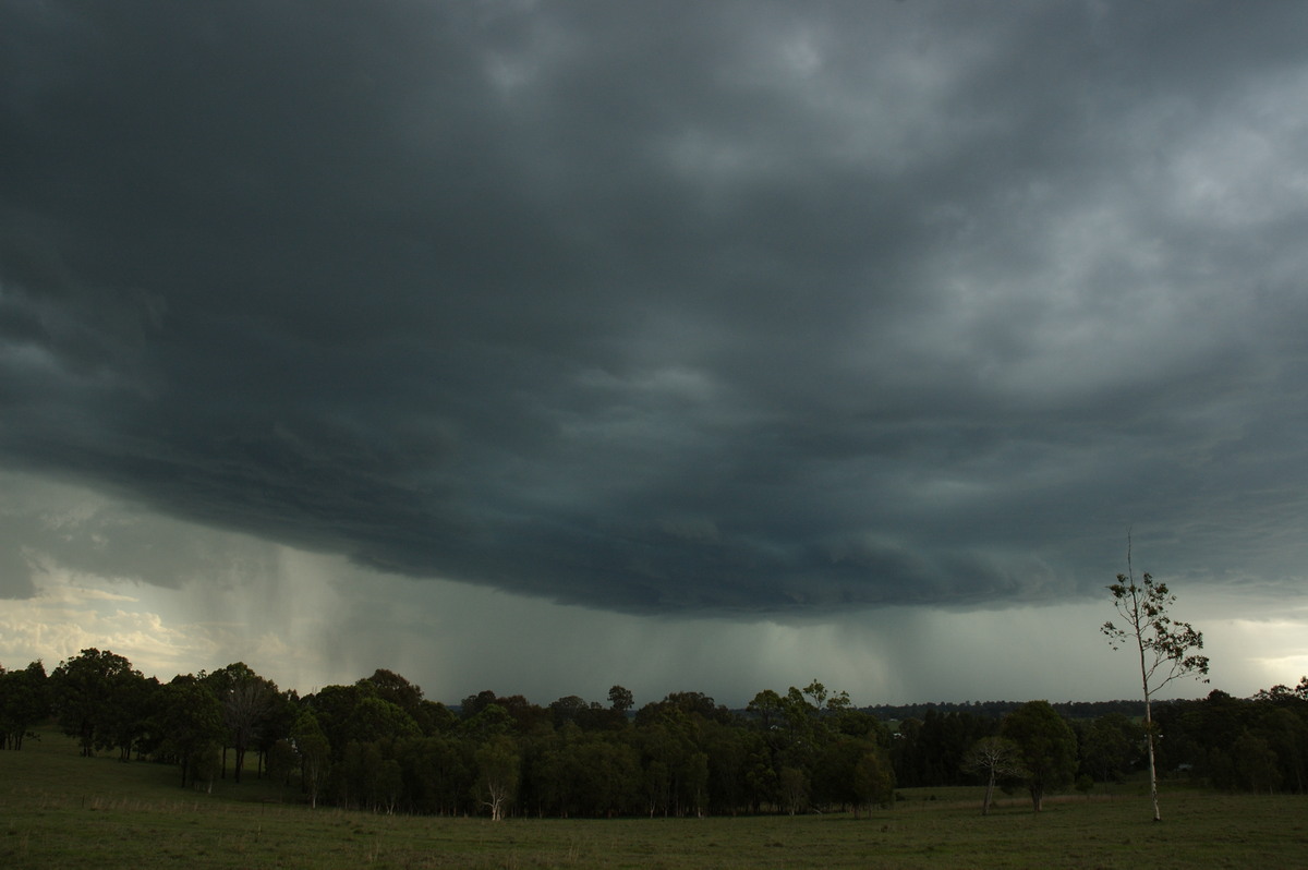 cumulonimbus thunderstorm_base : Koolkhan, NSW   4 December 2007