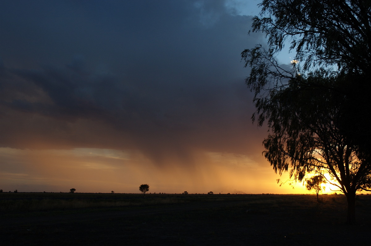 sunset sunset_pictures : Coonamble, NSW   8 December 2007