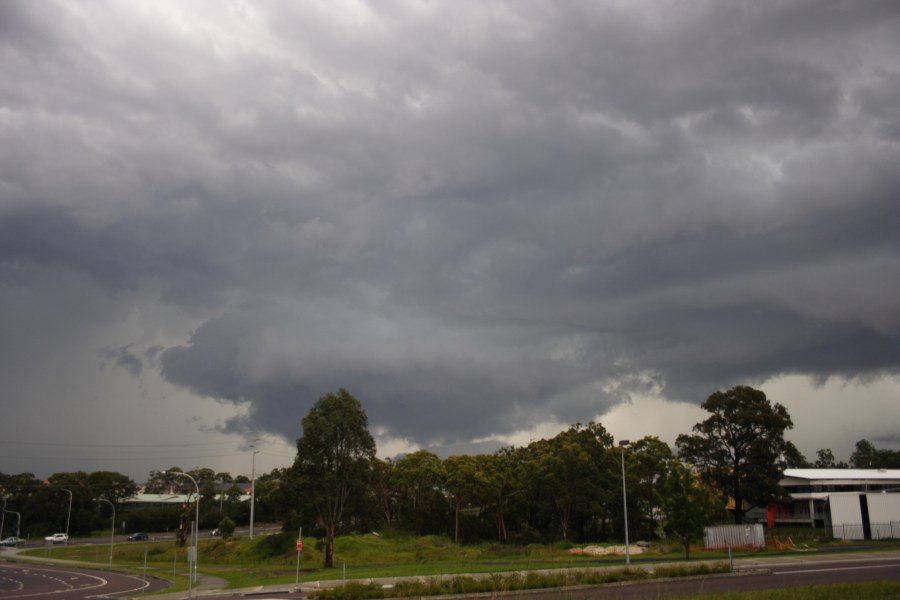 cumulonimbus thunderstorm_base : The Entrance area, NSW   9 December 2007