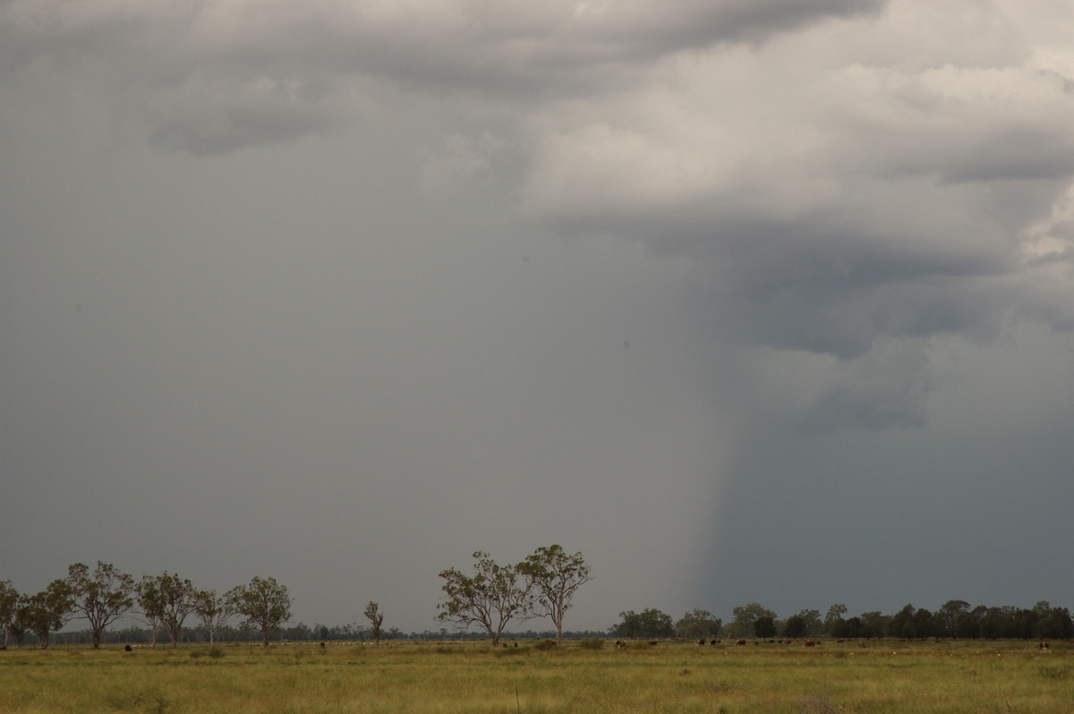 raincascade precipitation_cascade : near Goondiwindi, QLD   9 December 2007