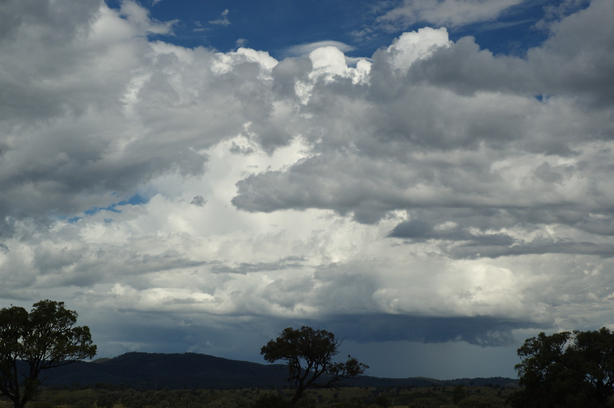 thunderstorm cumulonimbus_calvus : W of Tenterfield, NSW   27 January 2008
